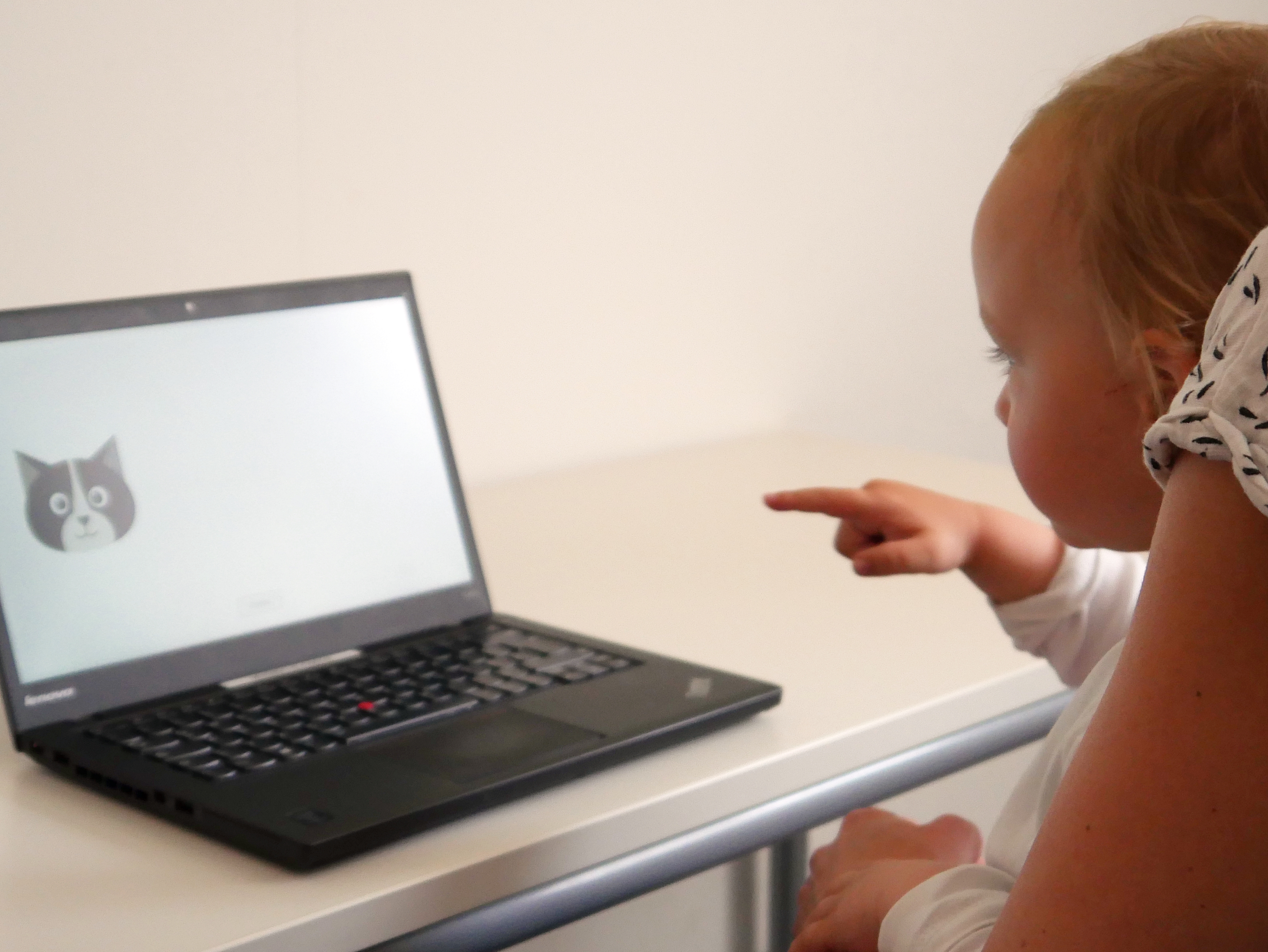 Language comprehension at pre-school age